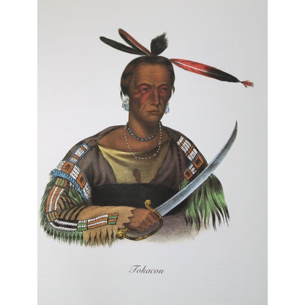 American Indian Print Tokacou Sioux Chief Vintage 89682 Native